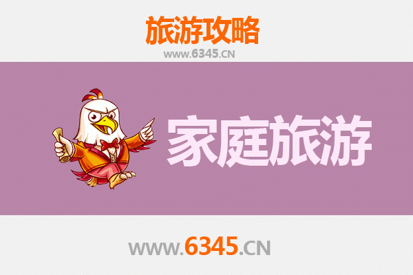 平凉崇信家庭亲子游：龙泉寺古柏探秘与乡村风情体验之旅